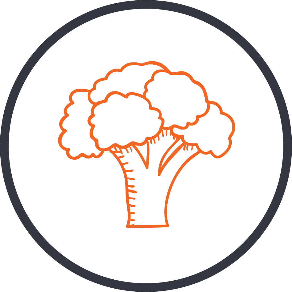 Field of Greens Superfood BrickHouse Nutrition