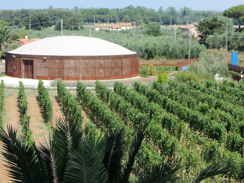 Discover the magical world of Campo alle Comete