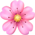 Magical texture containing flowers that will float in your bath
