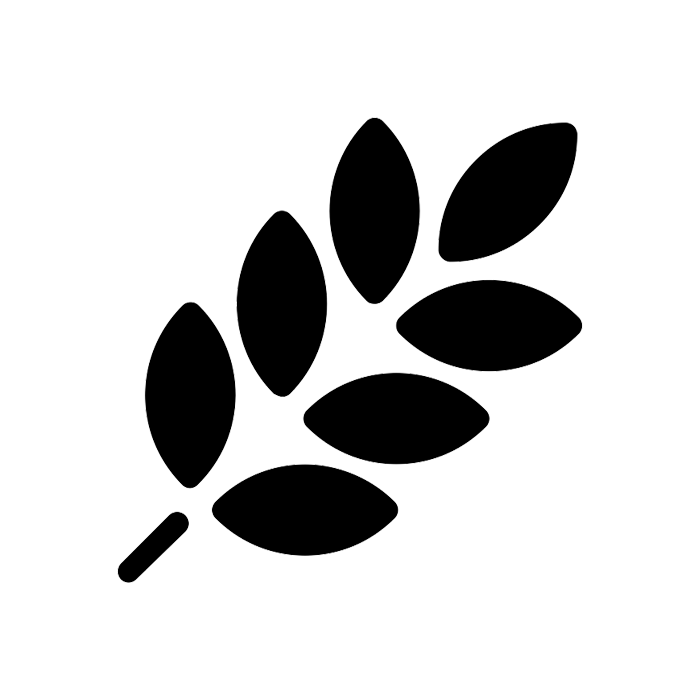 Rice starch