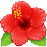 fleurs