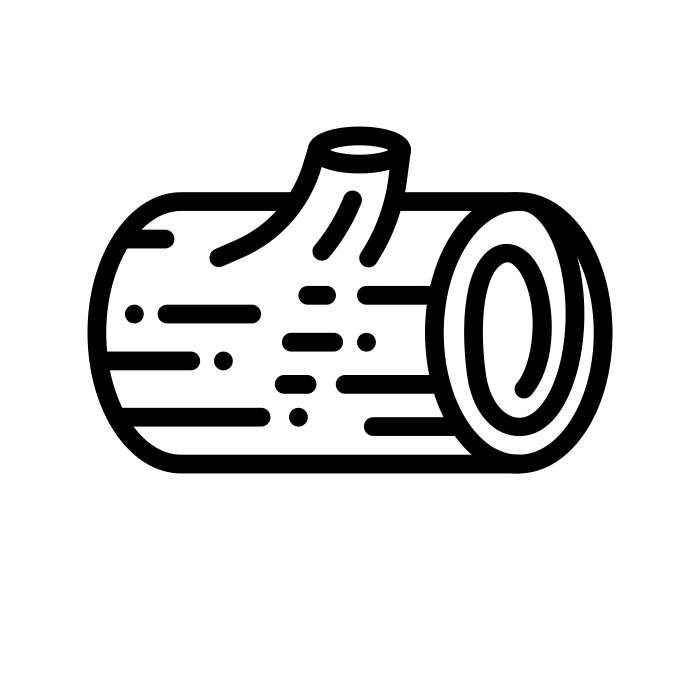PULPE DE BOIS (COMME LE PAPYRUS)