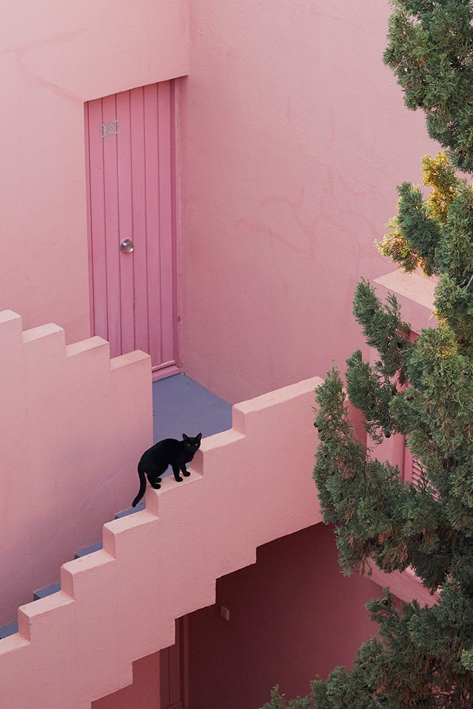 MLM LABEL WALLCANDY PLACES TO GO LA MURALLA ROJA