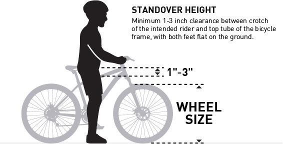 Size shart image