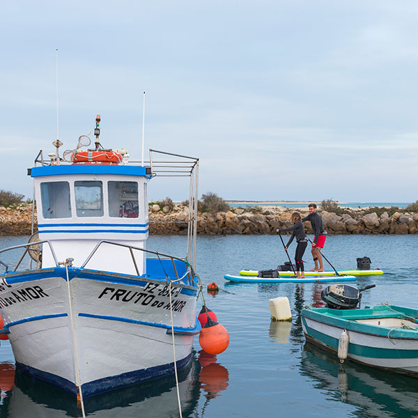 Male and Female paddle in harbour.