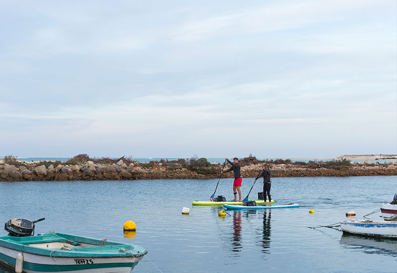 two people paddle boarding at sea
