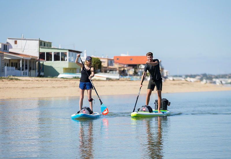 paddle boarding near beach
