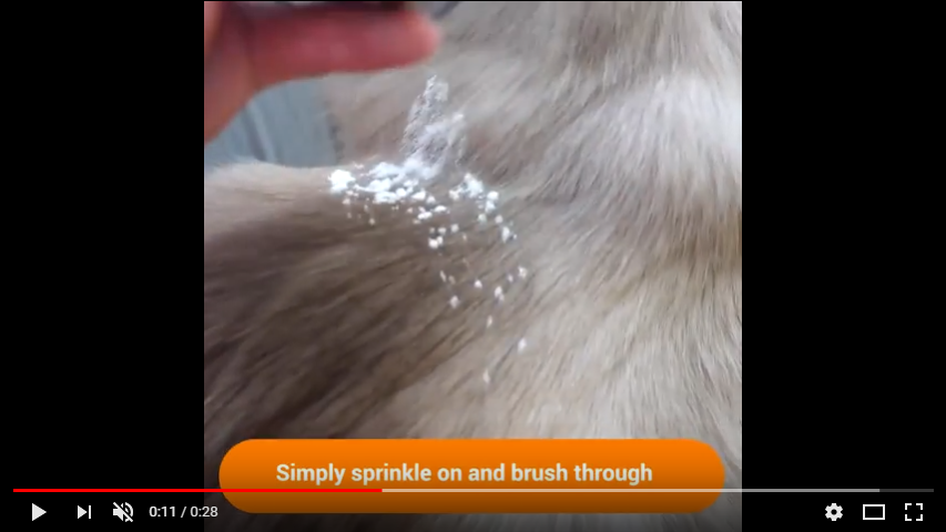 How to use dry shampoo for dogs