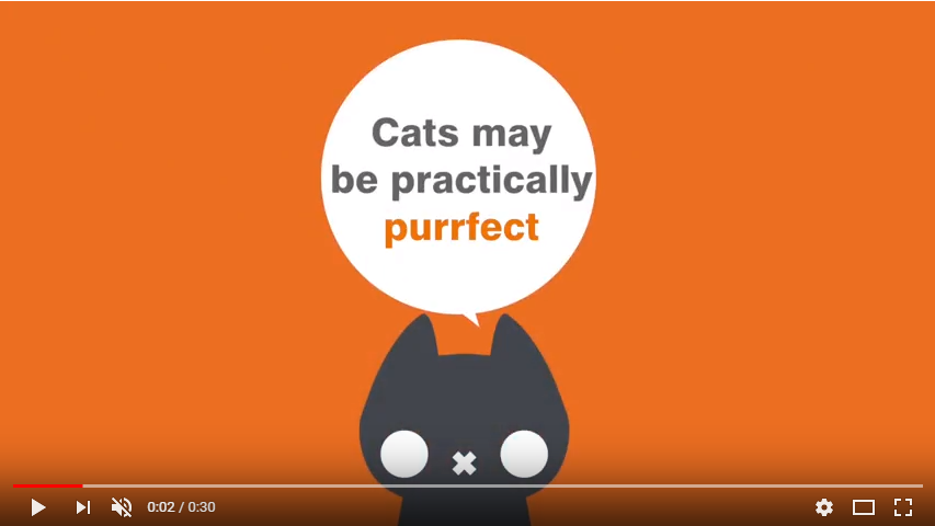 Best cat litter scoop video